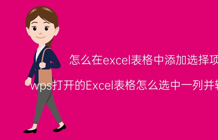 怎么在excel表格中添加选择项 wps打开的Excel表格怎么选中一列并输入函数？